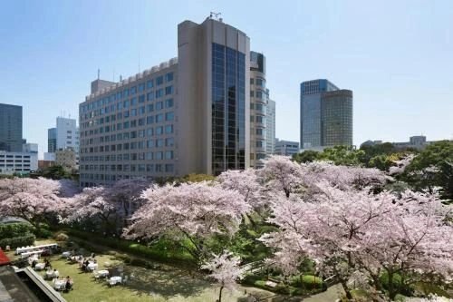 Tokyo Shore Excursion — destination photograph