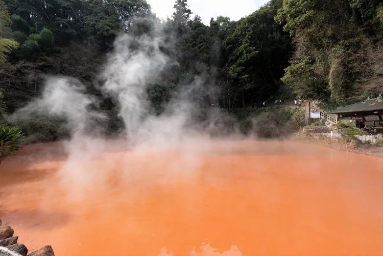 Beppu Shore Excursion — destination photograph