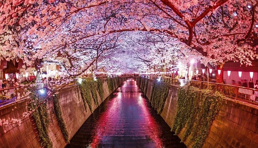 Kyoto Shore Excursion — destination photograph