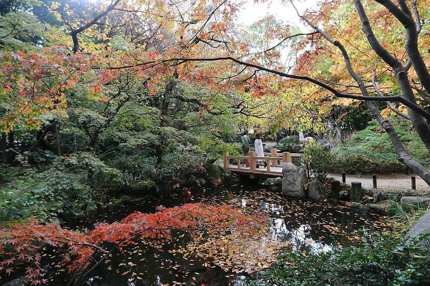 Fukuoka Shore Excursion — destination photograph