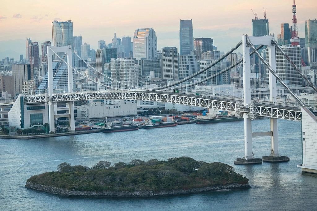 Tokyo Shore Excursion — destination photograph