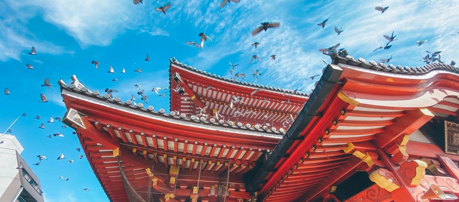 Tokyo Pre Cruise 3 Day — destination photograph