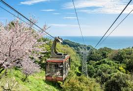 Shimizu Shore Excursion — destination photograph