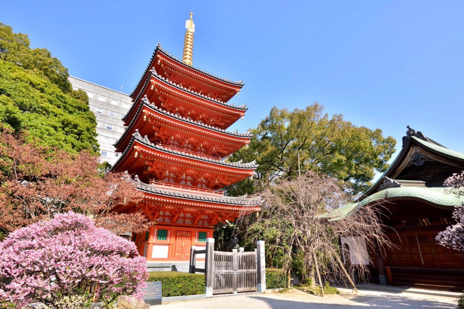 Fukuoka Shore Excursion — destination photograph