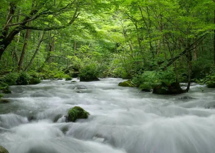 Aomori Shore Excursion — destination photograph