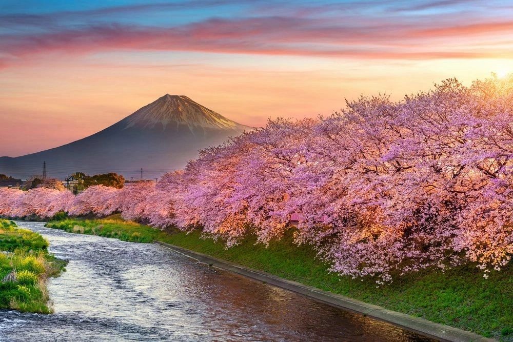 Japan Shore Excursions