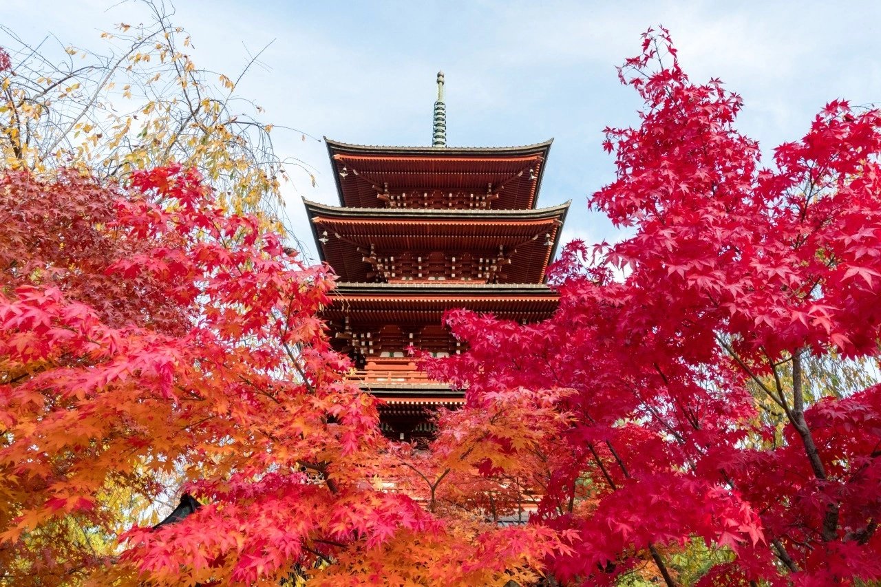 Aomori Shore Excursion — destination photograph