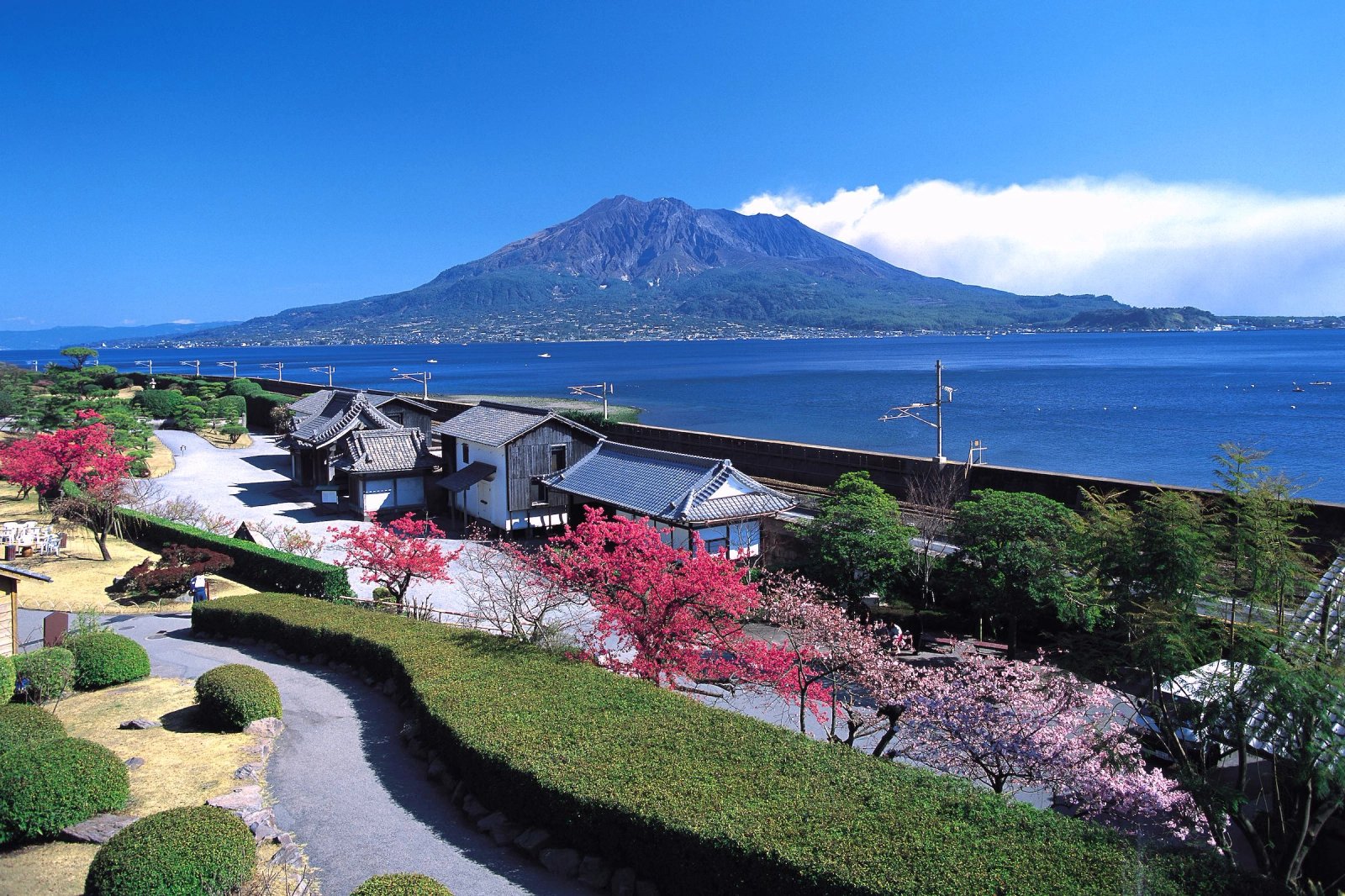 Kagoshima Shore Excursion — destination photograph