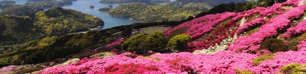 Sasebo Shore Excursion