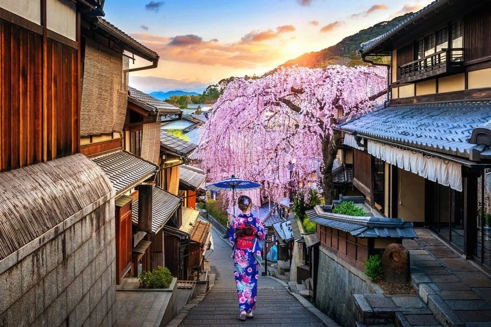 Kyoto Shore Excursion — destination photograph