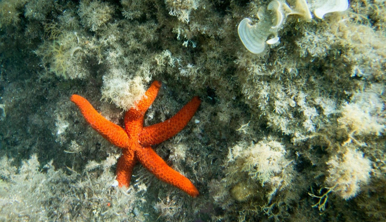 Philippines Shore Tours