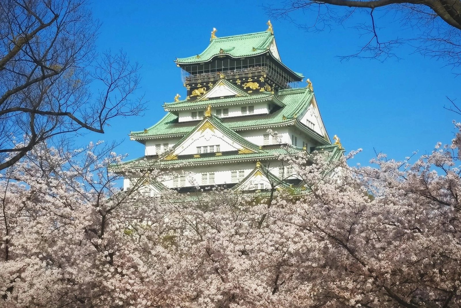 Osaka Shore Excursion — destination photograph