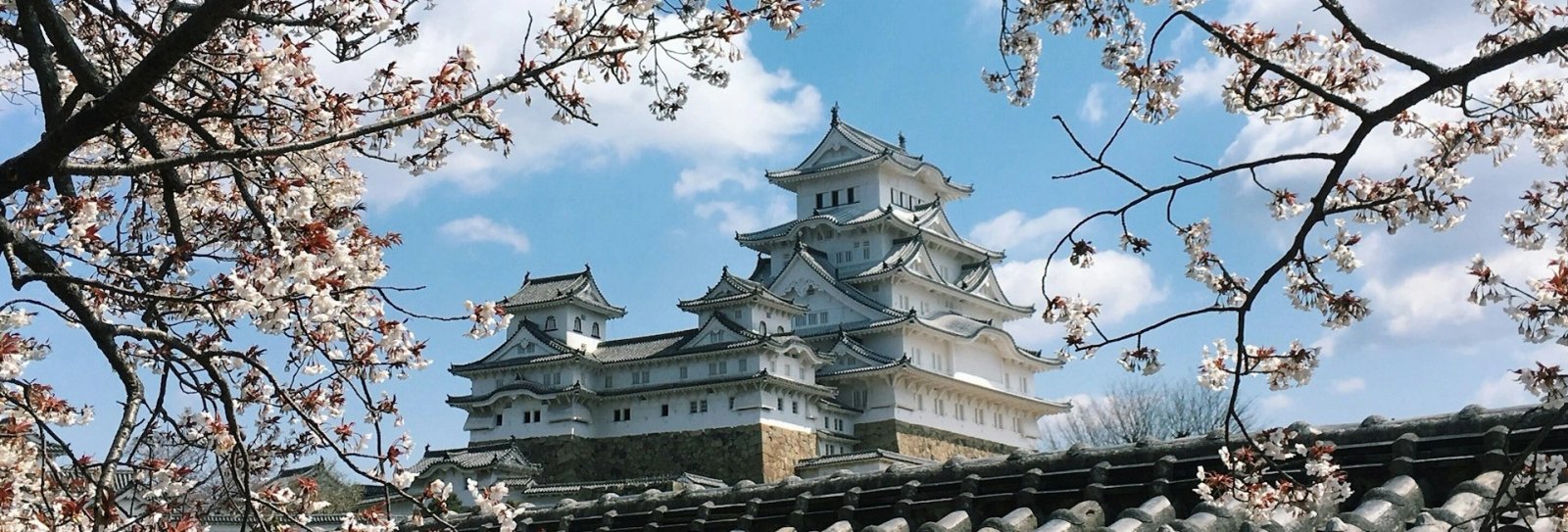Himeji Shore Excursion — destination photograph